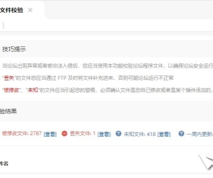 大佬们，后台的文件效验功能是不是以后就没用了
New
