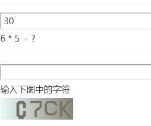 注册验证回答，回答正确或错误时，√和×不能正常显示
New
