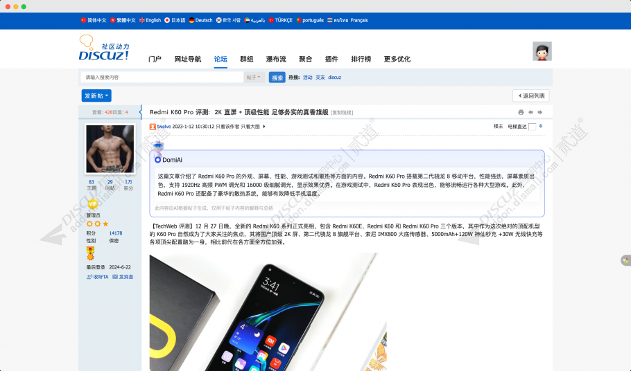 Discuz! DomiAI智能摘要 正式版(domi_aisummary)