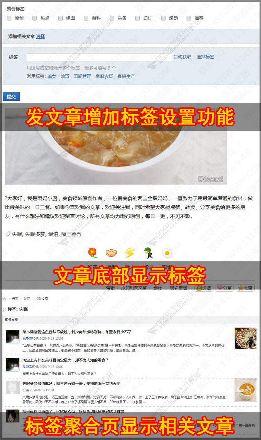 Discuz! SEO门户文章标签 V10.01.03(addon_portalarticletags)