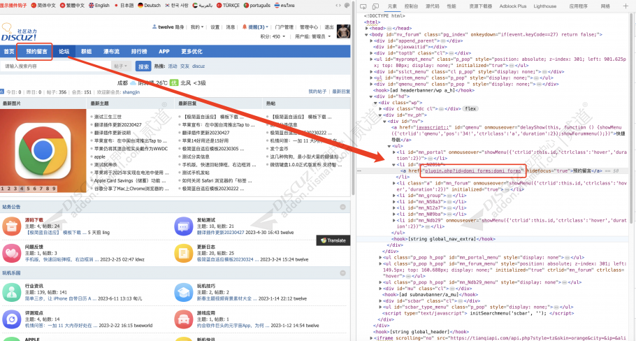 Discuz! 插件自适应优化 老客户免费(domi_ptm)