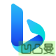 bing推送SEO SAAS(dzw_apoyl_bingpush)