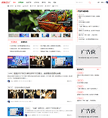 门户新媒体+手机版 商业版GBK(mobanbus_vlivev4)