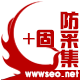 Discuz! 加固防采集+干扰码 手机+电脑商业版(wwwseo_ycfcjlm)